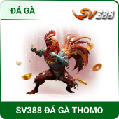 ĐÁ GÀ